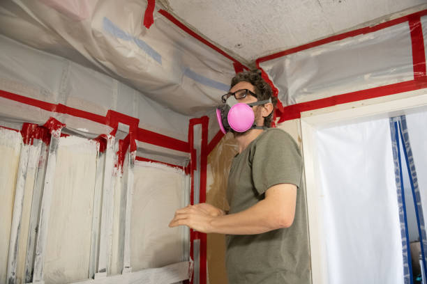 Best Basement Mold Removal  in East Chicago, IN