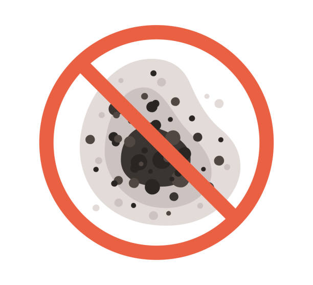 Mold Remediation for Rental Properties in East Chicago, IN