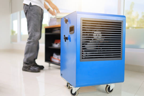 Best Mold Remediation for Rental Properties  in East Chicago, IN