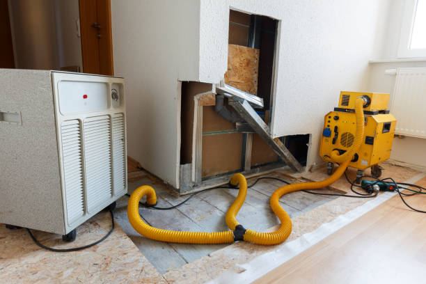 Best Industrial Mold Remediation  in East Chicago, IN