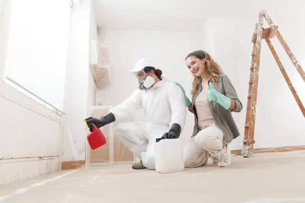 Best HVAC Mold Inspection and Cleaning  in East Chicago, IN